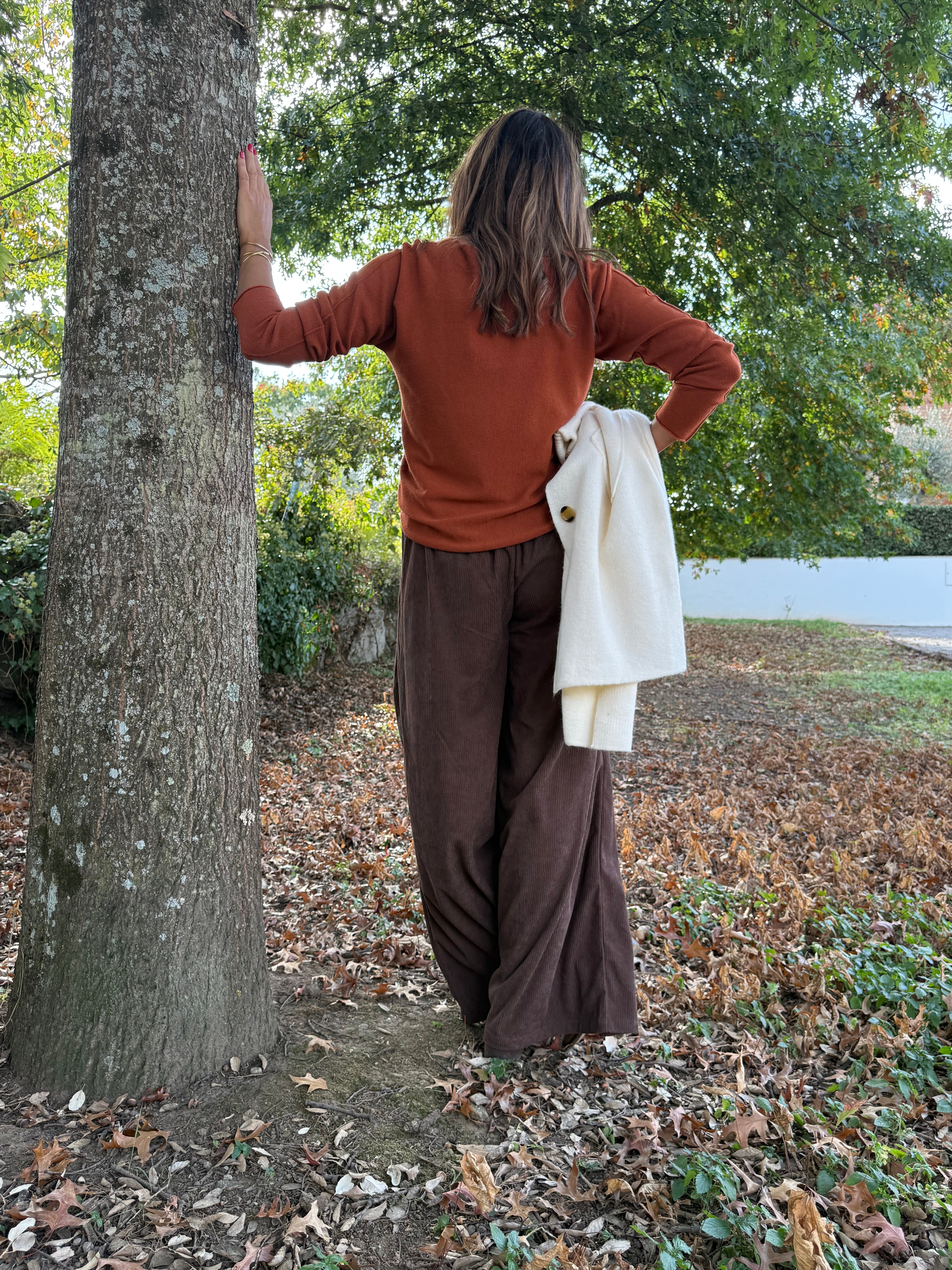 Calças Umbria Castanho